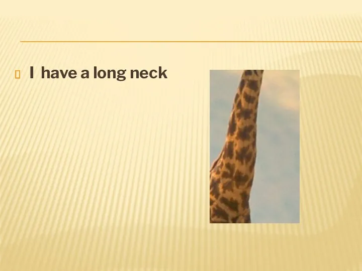 I have a long neck