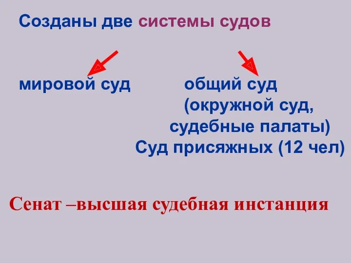 Созданы две системы судов мировой суд общий суд (окружной суд,