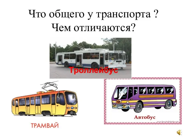 Что общего у транспорта ? Чем отличаются? Троллейбус