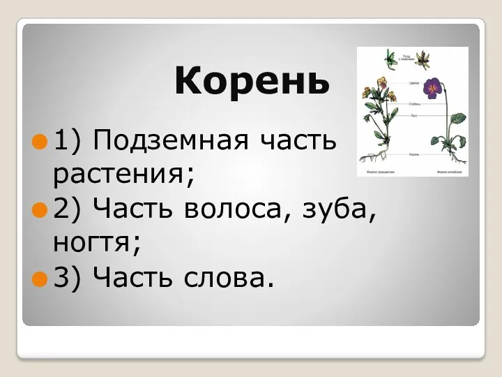 1) Подземная часть растения; 2) Часть волоса, зуба, ногтя; 3) Часть слова. Корень