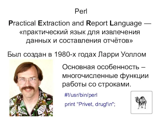 Perl Practical Extraction and Report Language — «практический язык для извлечения данных и