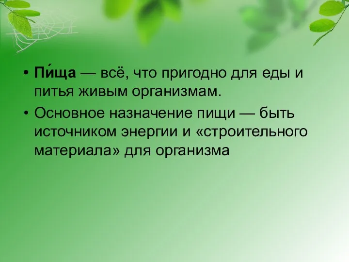 Пи́ща — всё, что пригодно для еды и питья живым