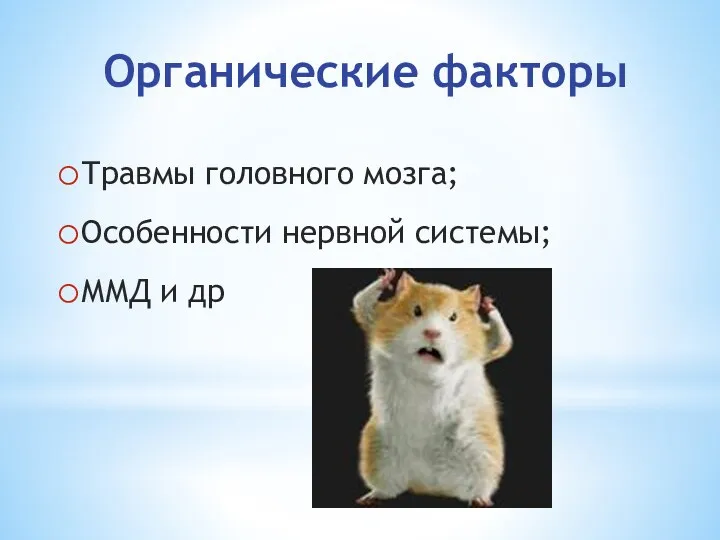 Органические факторы Травмы головного мозга; Особенности нервной системы; ММД и др