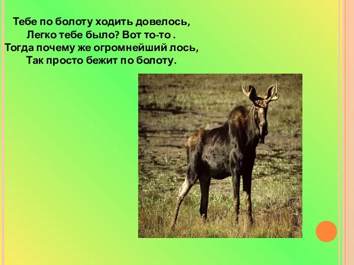 Тебе по болоту ходить довелось, Легко тебе было? Вот то-то . Тогда почему