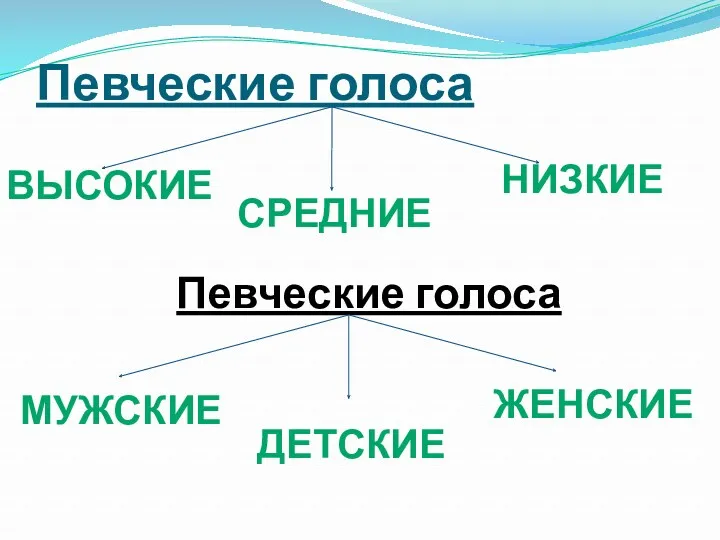 Певческие голоса высокие средние низкие Певческие голоса мужские детские женские