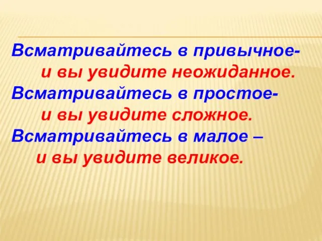 Всматривайтесь в привычное- и вы увидите неожиданное. Всматривайтесь в простое-