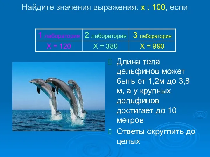 Найдите значения выражения: х : 100, если Длина тела дельфинов
