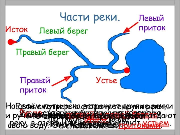 Части реки. Как называют начало реки? Исток Что такое устье реки? То место,