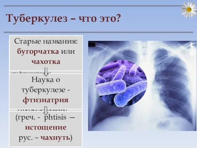 Туберкулёз (от лат. tuberculum — бугорок) — широко распространённое в мире инфекционное заболевание,