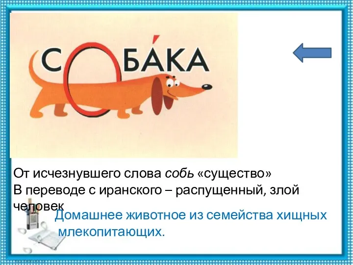 От исчезнувшего слова собь «существо» В переводе с иранского –