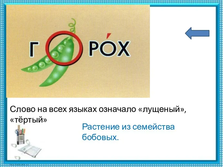 Слово на всех языках означало «лущеный», «тёртый» Растение из семейства бобовых.