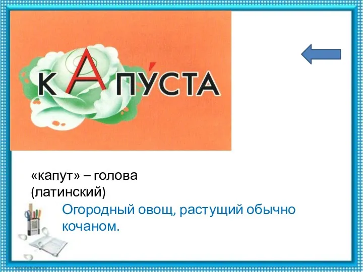 «капут» – голова (латинский) Огородный овощ, растущий обычно кочаном.