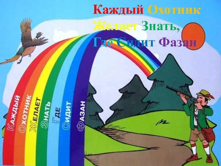 Каждый Охотник Желает Знать, Где Сидит Фазан