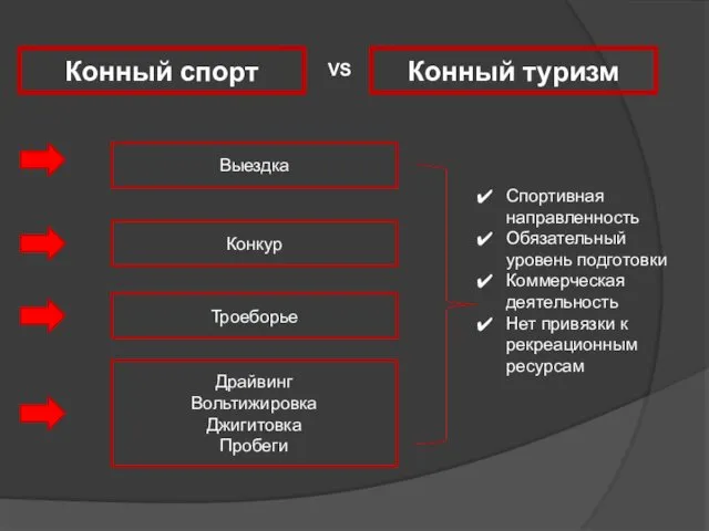 Выездка Конный спорт Драйвинг Вольтижировка Джигитовка Пробеги Троеборье Конкур Конный