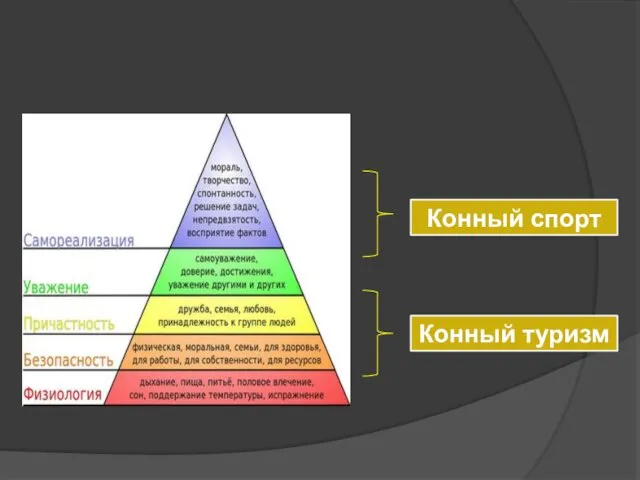 Конный спорт Конный туризм