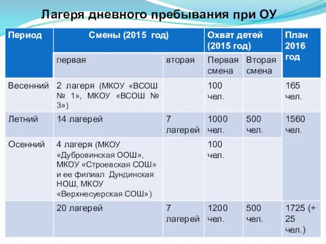 Лагеря дневного пребывания при ОУ