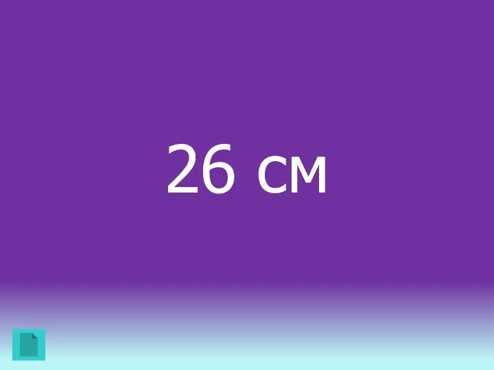 26 см