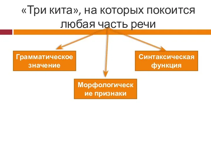 «Три кита», на которых покоится любая часть речи Грамматическое значение Морфологические признаки Синтаксическая функция