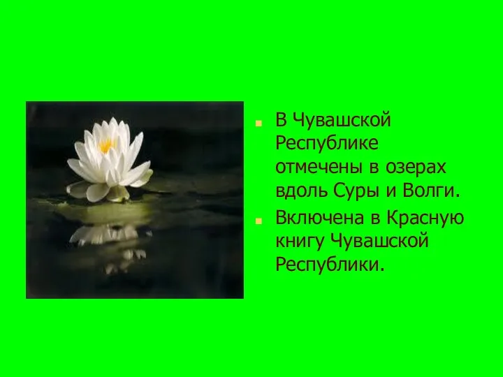 В Чувашской Республике отмечены в озерах вдоль Суры и Волги. Включена в Красную книгу Чувашской Республики.