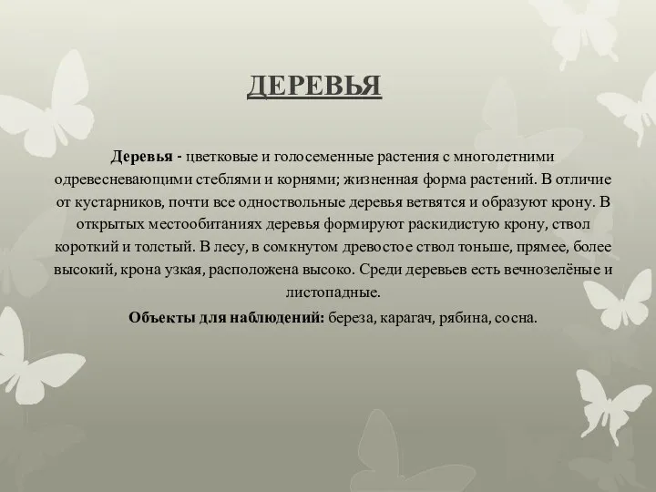 ДЕРЕВЬЯ Деревья - цветковые и голосеменные растения с многолетними одревесневающими