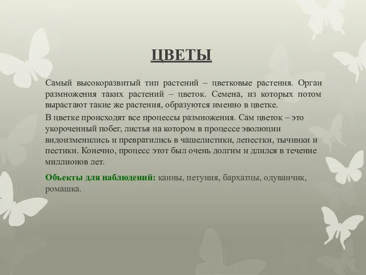 ЦВЕТЫ Самый высокоразвитый тип растений – цветковые растения. Орган размножения