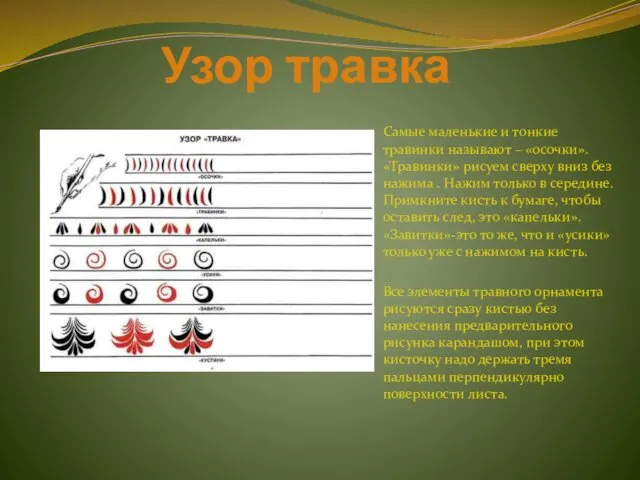 Узор травка Самые маленькие и тонкие травинки называют – «осочки».