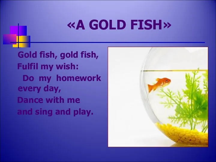 «A GOLD FISH» Gold fish, gold fish, Fulfil my wish: