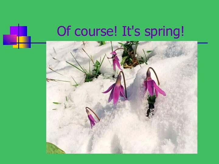 Of course! It's spring!
