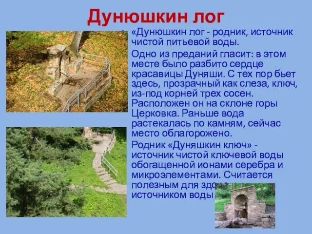 Дунюшкин лог «Дунюшкин лог - родник, источник чистой питьевой воды.