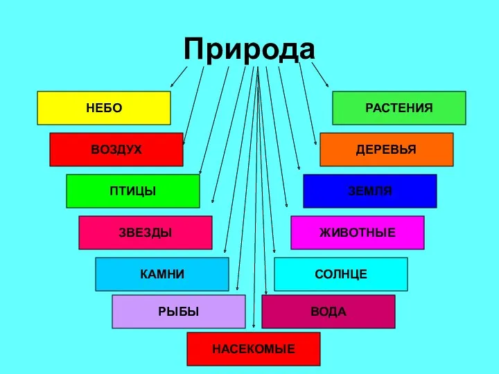 Природа НЕБО РАСТЕНИЯ ДЕРЕВЬЯ ЖИВОТНЫЕ ВОЗДУХ ЗВЕЗДЫ ПТИЦЫ ЗЕМЛЯ СОЛНЦЕ КАМНИ РЫБЫ ВОДА НАСЕКОМЫЕ