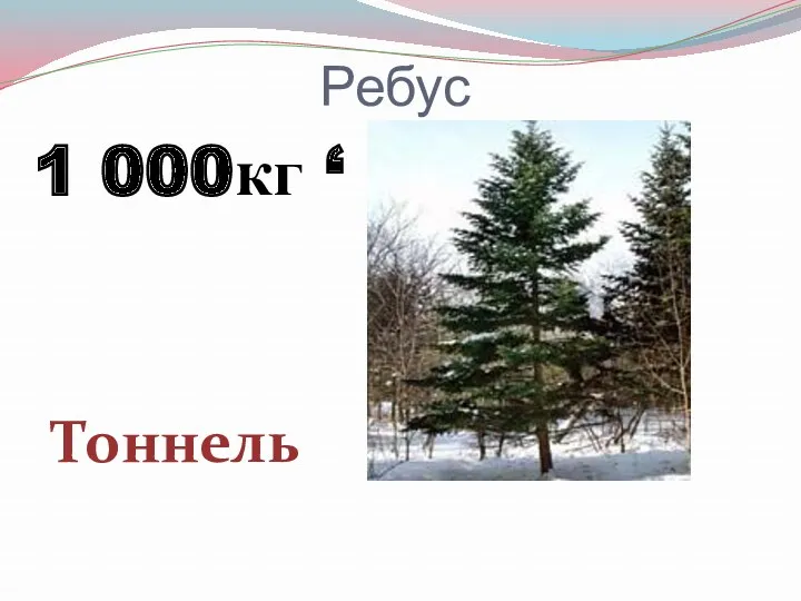 1 000кг ‘ Ребус тоннель