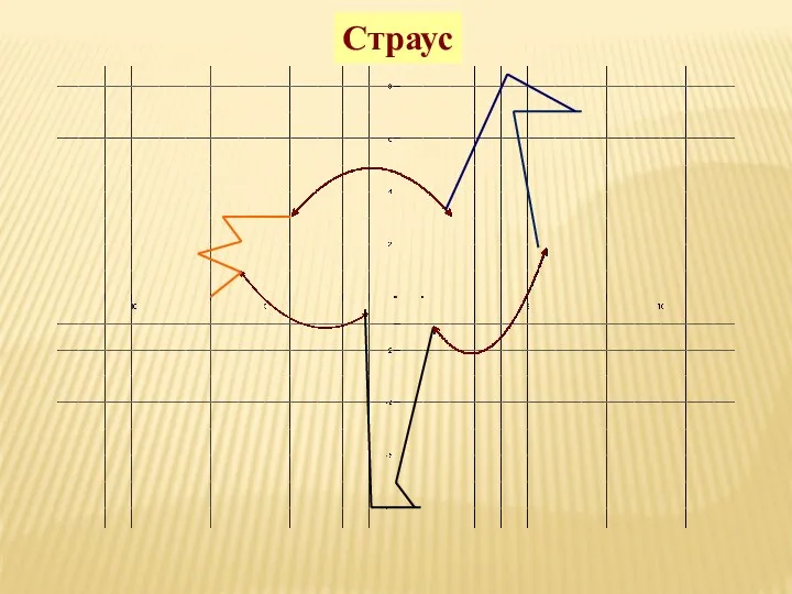 Страус