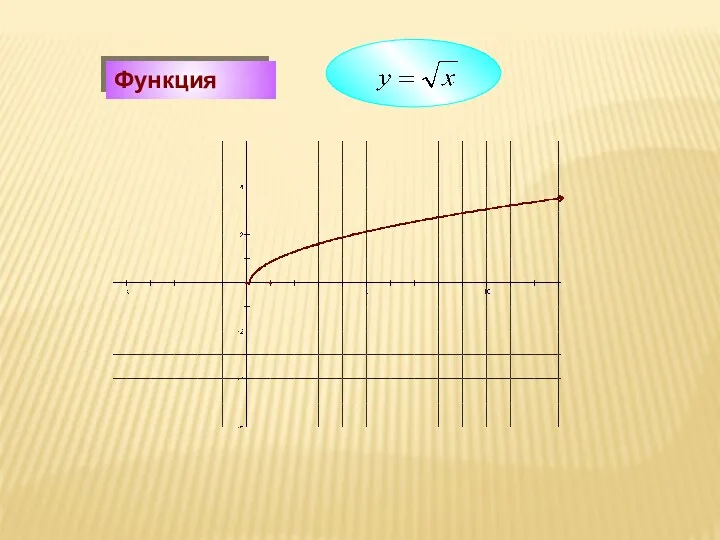 Функция