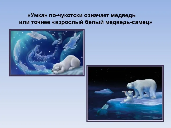 «Умка» по-чукотски означает медведь или точнее «взрослый белый медведь-самец»