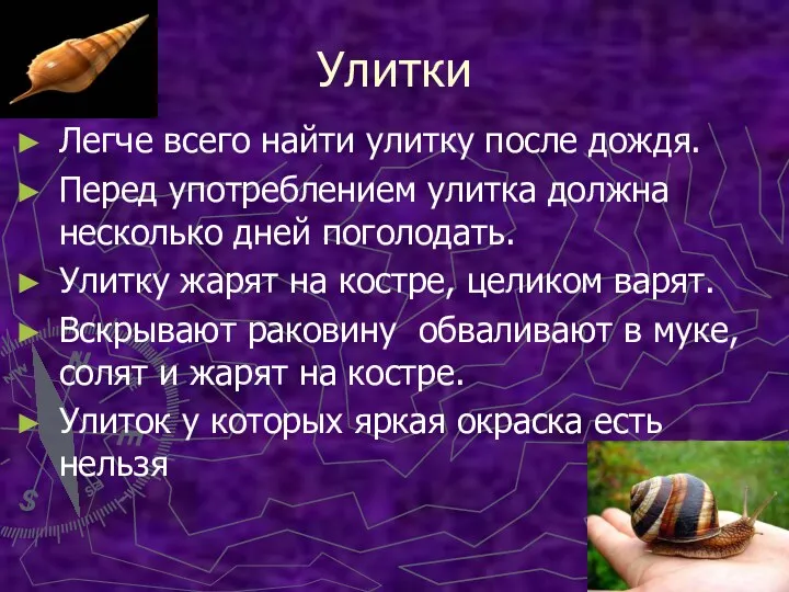 Улитки Легче всего найти улитку после дождя. Перед употреблением улитка