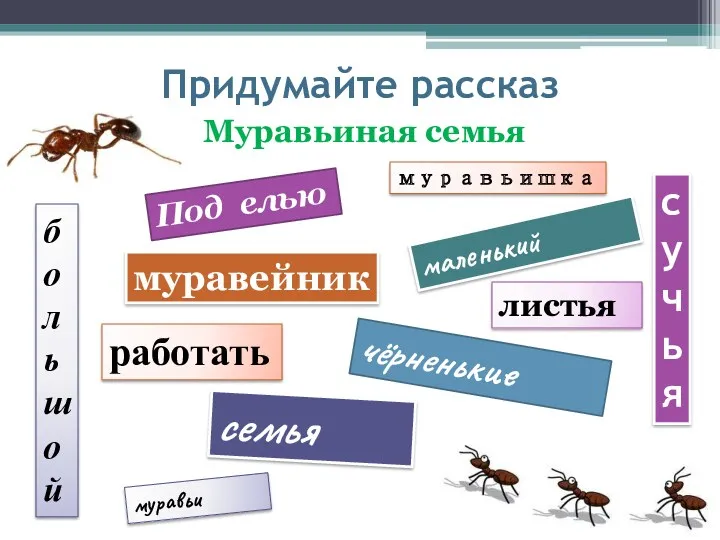 Придумайте рассказ Муравьиная семья Под елью муравейник большой муравьишка маленький работать чёрненькие муравьи семья листья сучья