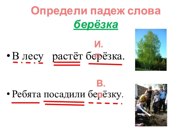 В лесу растёт берёзка. Ребята посадили берёзку. Определи падеж слова берёзка И.п. В.п.