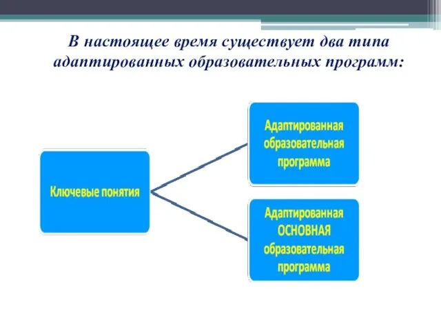 В настоящее время существует два типа адаптированных образовательных программ: