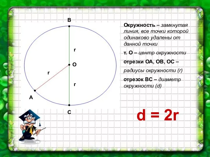 О А В С r r r Окружность – замкнутая