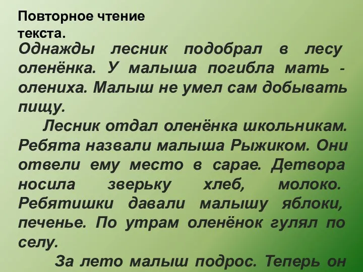 Повторное чтение текста. Однажды лесник подобрал в лесу оленёнка. У