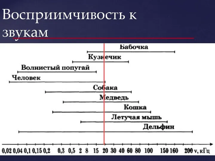 Восприимчивость к звукам