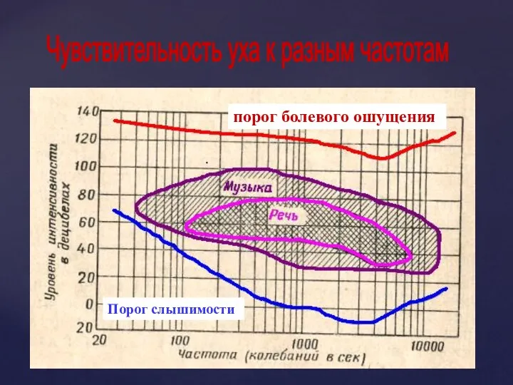 Чувствительность уха к разным частотам Порог слышимости порог болевого ошущения