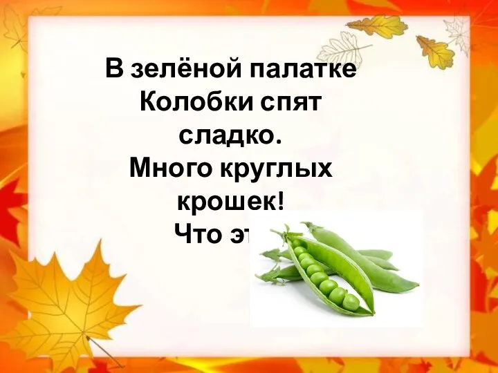 В зелёной палатке Колобки спят сладко. Много круглых крошек! Что это?