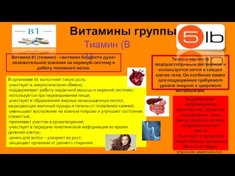 Витамины группы B Витамин B1 (тиамин) - «витамин бодрости духа»