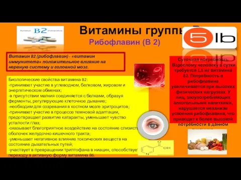 Витамины группы B Рибофлавин (B 2) Витамин B2 (рибофлавин) -