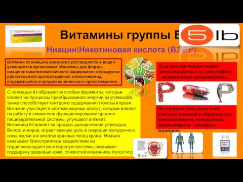 Витамины группы B Ниацин\Никотиновая кислота (B3\PP) Витамин B3 (ниацин) прекрасно