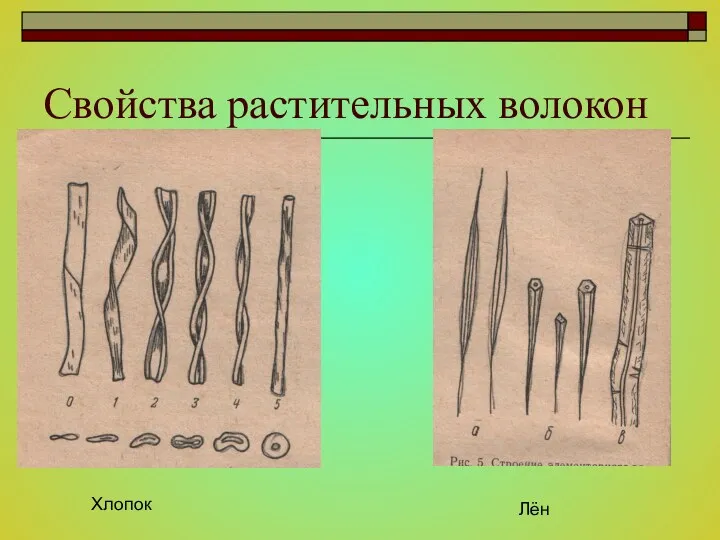 Свойства растительных волокон Хлопок Лён