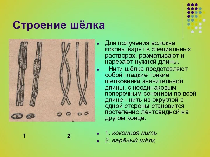 Строение шёлка Для получения волокна коконы варят в специальных растворах,