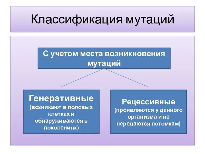 Классификация мутаций С учетом места возникновения мутаций Генеративные (возникают в