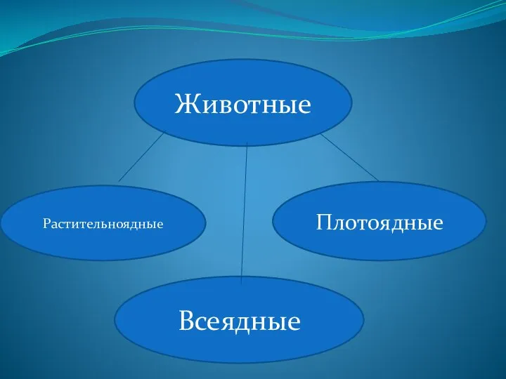 Животные Растительноядные Плотоядные Всеядные